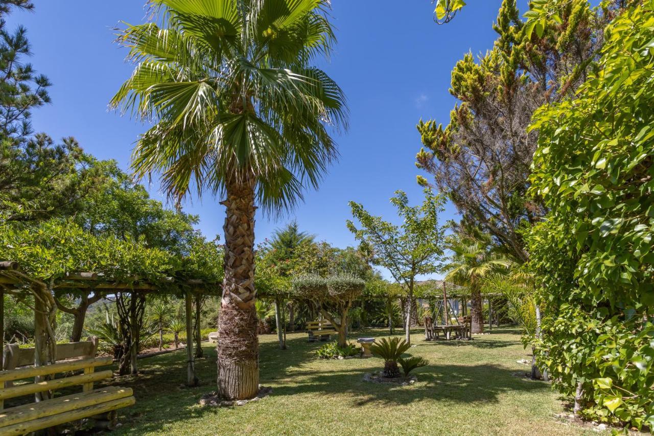 QUINTA DO MONTE DAS ABELHAS - La Vénus de Lisbonne Calhandriz Extérieur photo
