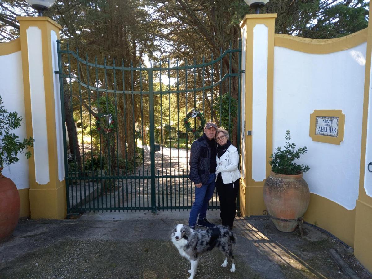QUINTA DO MONTE DAS ABELHAS - La Vénus de Lisbonne Calhandriz Extérieur photo
