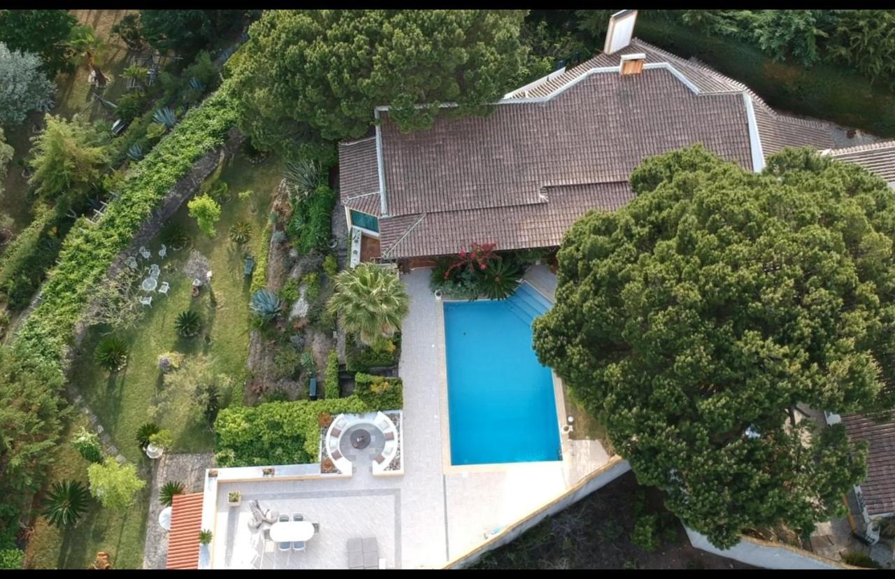 QUINTA DO MONTE DAS ABELHAS - La Vénus de Lisbonne Calhandriz Extérieur photo