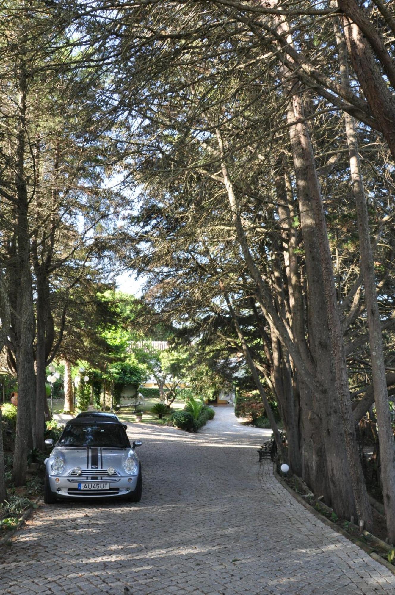QUINTA DO MONTE DAS ABELHAS - La Vénus de Lisbonne Calhandriz Extérieur photo
